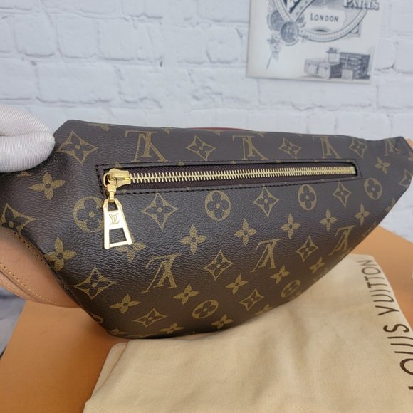 Louis Vuitton Bum Bag Monogram - Picture 15 of 16